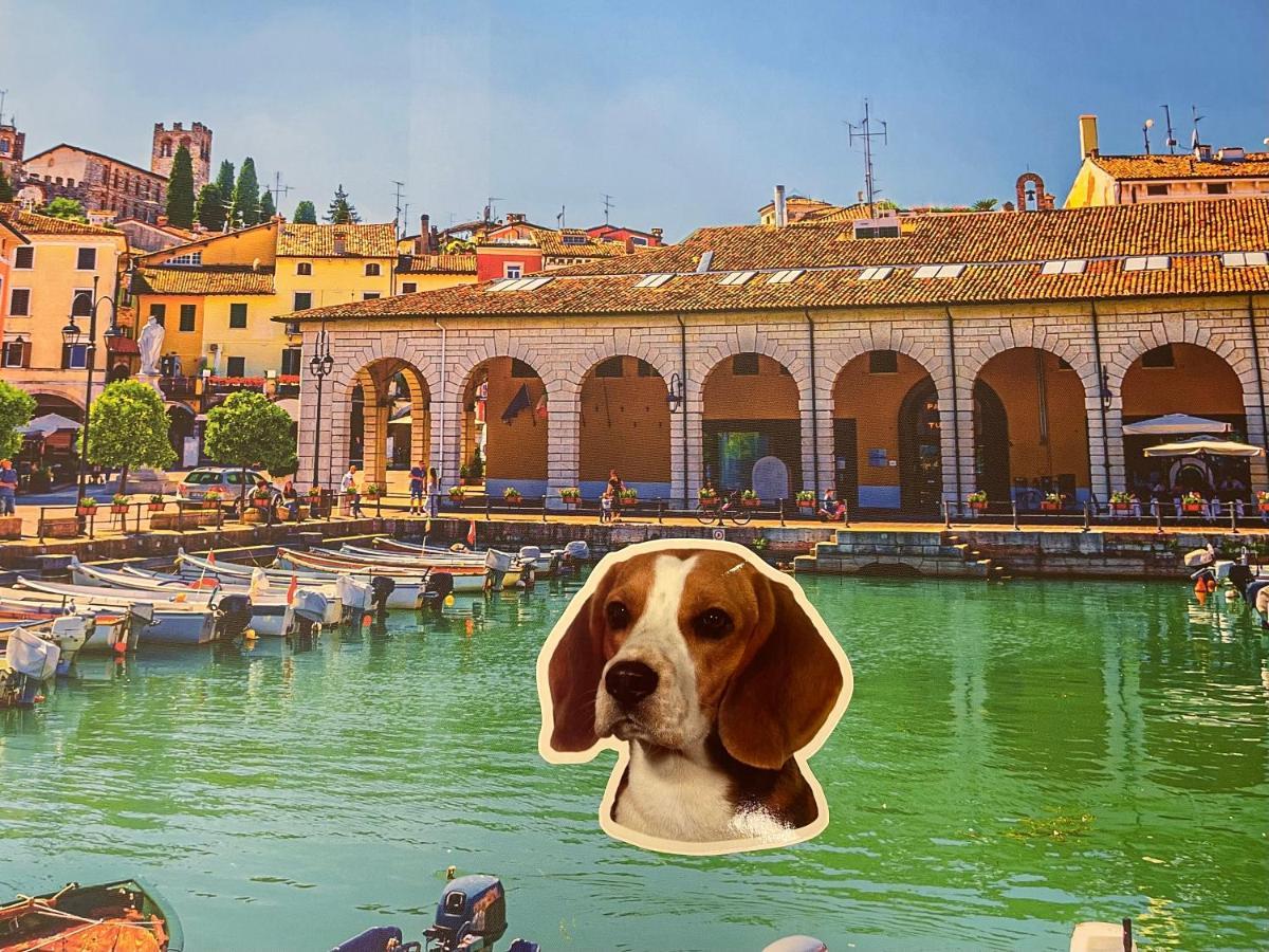 Desenzanoloft Smile On The Lake ديسينسانو ديل غاردا المظهر الخارجي الصورة